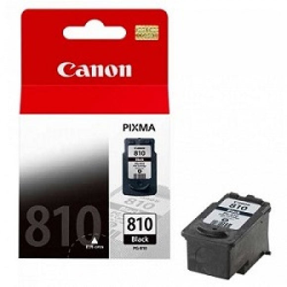 40034 - INK CARTRIDGE CANON PG-810 BLACK